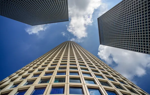 Picture the sky, clouds, home, skyscrapers