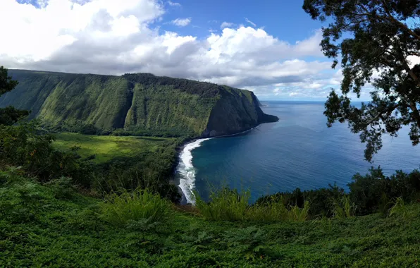 Nature, Sea, Hawaii, Landscape, Valley, Waipi'or Valley