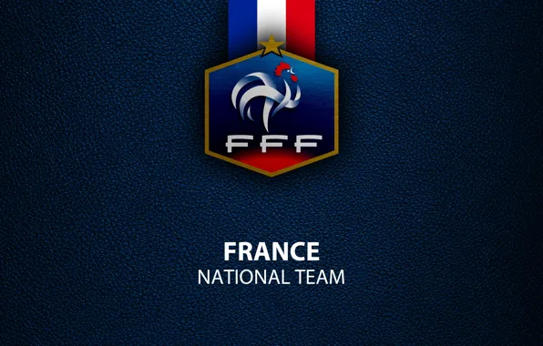 How to draw France National Football Team Logo