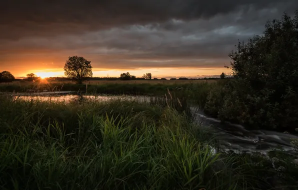 Field, sunset, river