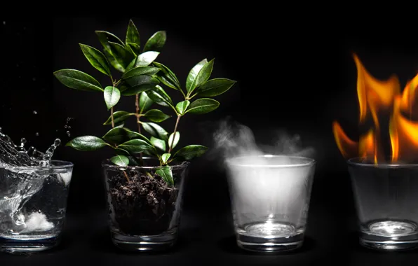 Picture earth, fire, water, air, 4 elements, glass cup
