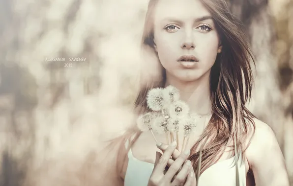 Picture girl, dandelion, photographer, girl, photography, photographer, Alexander Savichev