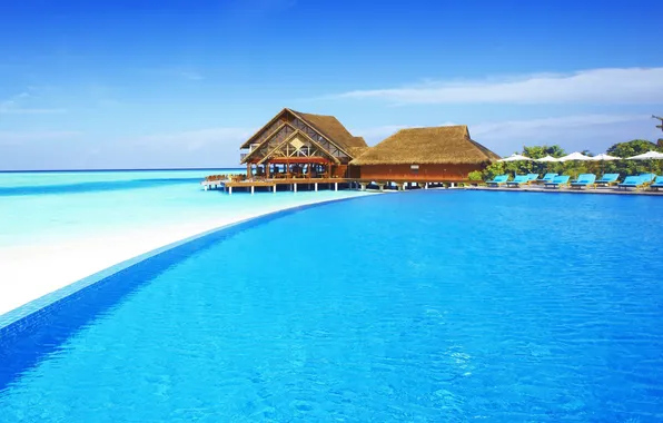 Picture island, maldives, wanted