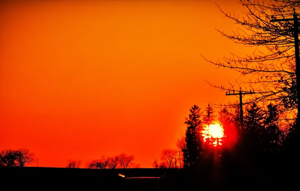 The sky, the sun, trees, sunset, silhouette