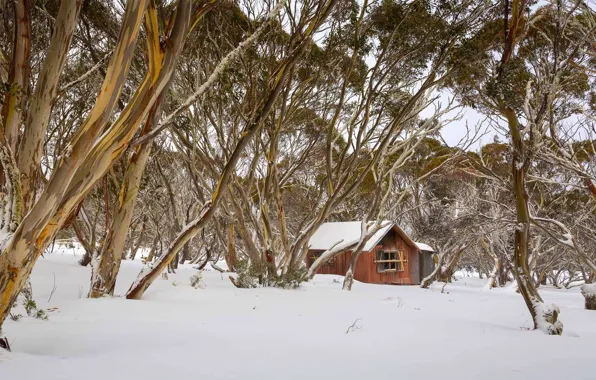Picture Australia, hut, Dinner Plain, winter