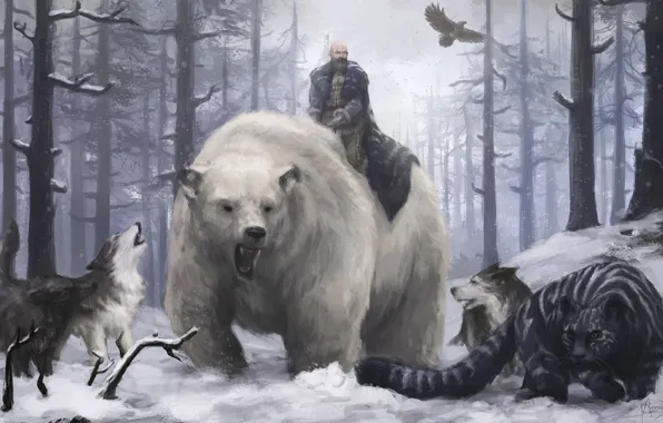 Picture Stalker, bear, blizzard, nothing, snow, eagle, north, wolf