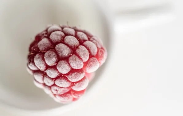 Picture frost, berries, raspberry, frost