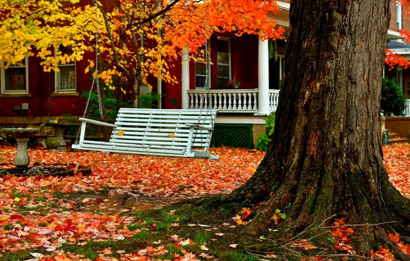 Wallpaper road, autumn, forest, grass, leaves, trees, nature, house ...