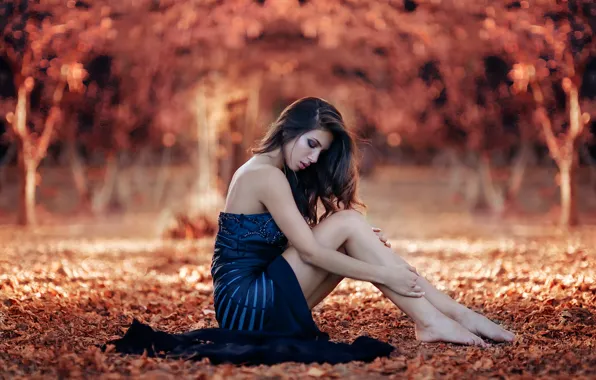 Picture autumn, girl, legs, Sweet Autumn, Alessandro Di Cicco