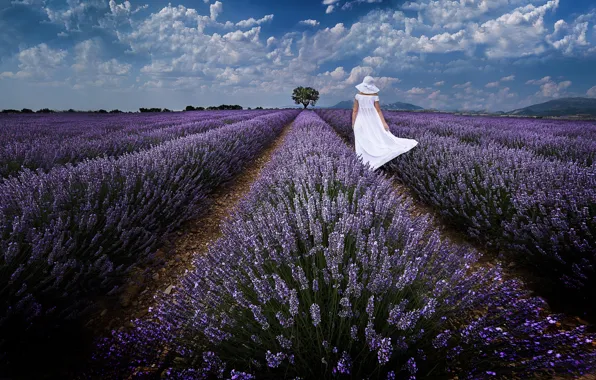 Picture woman, hat, a number, walk, white dress, lavender, plantation, lavender field