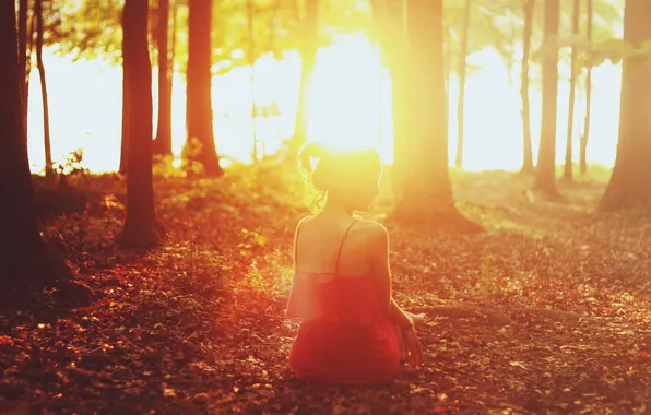Forest, girl, light