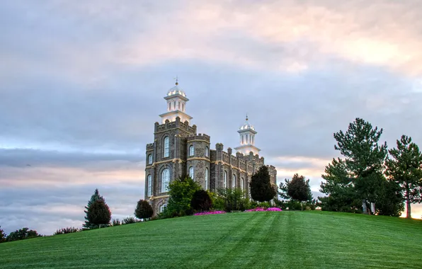 Grass, trees, flowers, hills, USA, Idaho, temple Logan