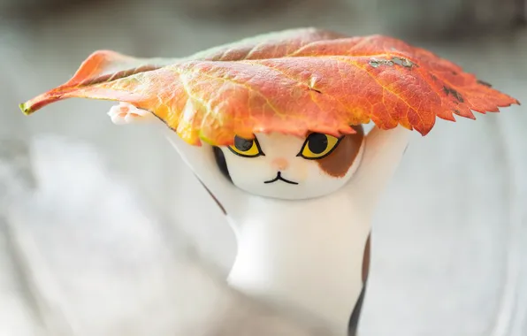 Cat, kitty, toy, figure, autumn leaf