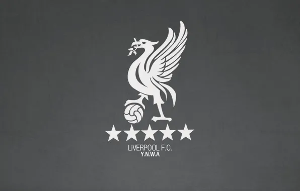 🔥 Free download Liverpool FC iPhone Wallpaper [640x1136] for your Desktop,  Mobile & Tablet | Explore 100+ Liverpool FC Wallpapers, Liverpool Wallpaper  2015, Liverpool Logo Wallpaper, Liverpool FC Wallpaper 2015