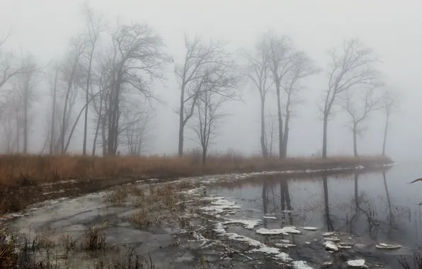Autumn, fog, lake