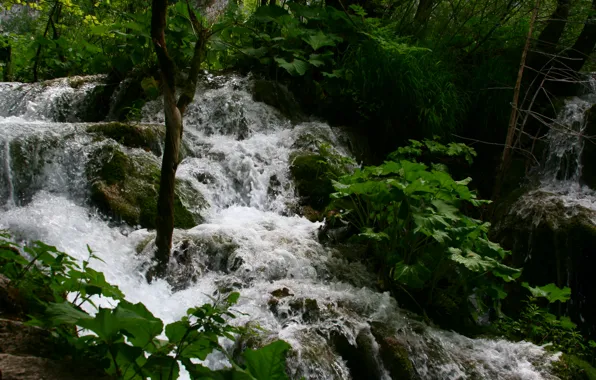 Picture greens, water, landscape, nature, travel, stay, lake, thresholds