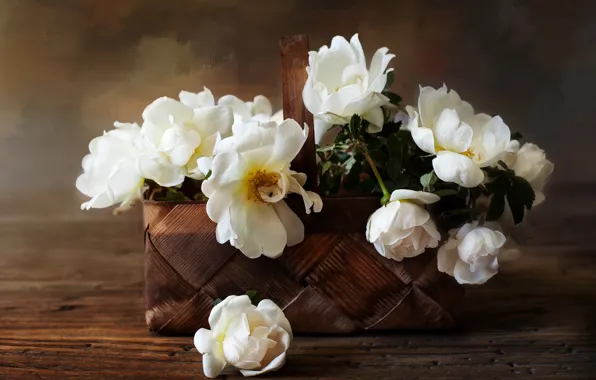 Picture flowers, the dark background, basket, roses, white, still life, briar