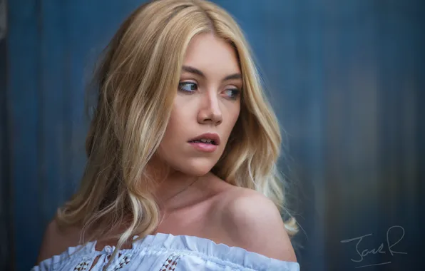 Look, face, Scarlett Jane, Jack Russell, Sarah Kempson