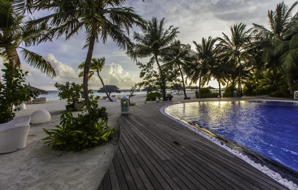 Picture beach, palm trees, the evening, pool