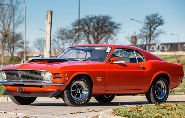 Picture Mustang, 1970, Boss 429