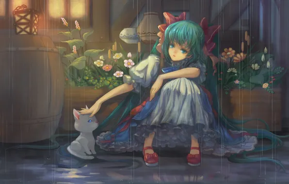 Girl, flowers, rain, kitty, vocaloid, hatsune miku, sitting, Vocaloid