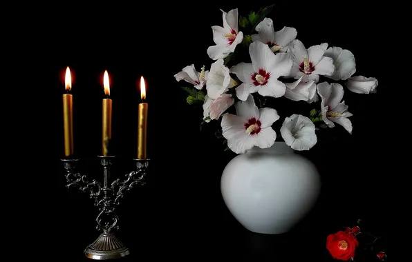 Picture flowers, candles, vase, candle holder