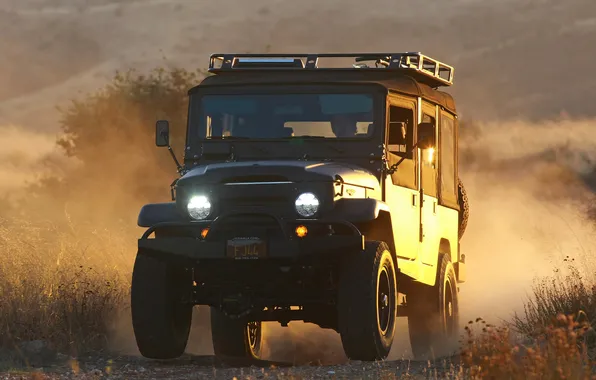 Sand, sunset, the steppe, dust, jeep, SUV, toyota, land cruiser