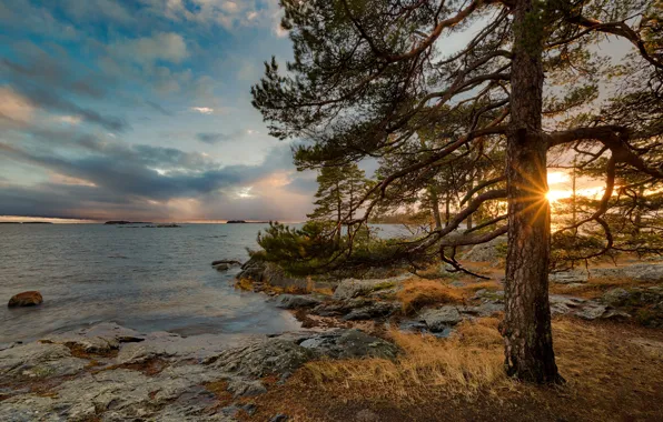 Rays, trees, landscape, sunset, lake, Finland