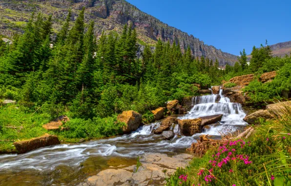The sky, trees, flowers, mountains, stones, waterfall
