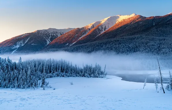 Picture winter, forest, snow, mountains