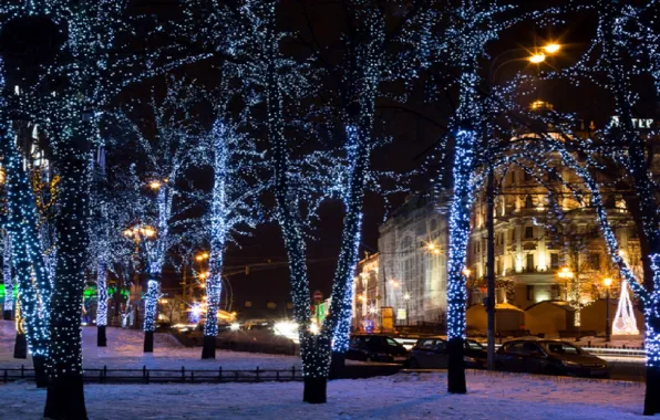 Trees, street, lights, garland