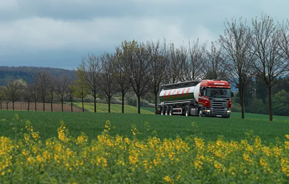 Grass, trees, track, green, truck, tractor, tank, backer