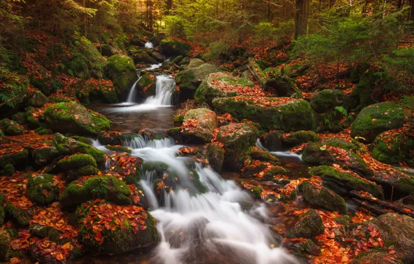 Picture autumn, forest, stream, stones, waterfall, moss, Czech Republic, cascade
