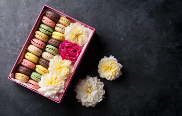 Flowers, gift, colorful, pink, flowers, macarons, gift box, macaroon