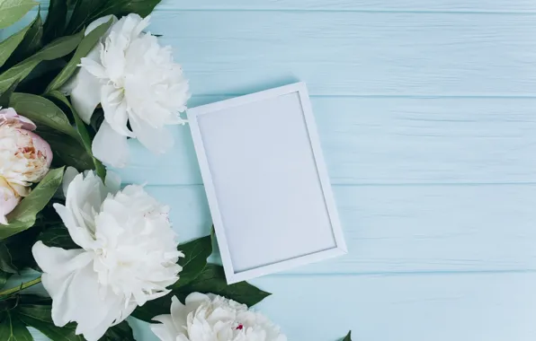 Flowers, frame, white, white, wood, flowers, peonies, peonies