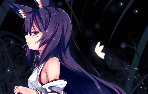 Look, girl, night, weapons, profile, ears, art, erimu