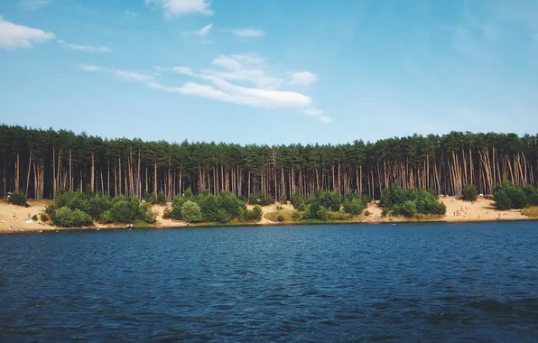 Lake, Nature, pine