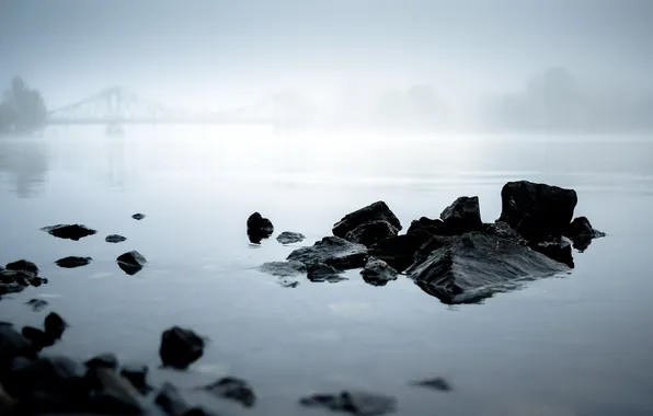 Landscape, fog, river, morning