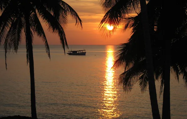 Sunset, Sea, Beach, Palm trees, Beach, Sunset, Cuba, Cuba