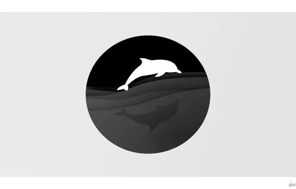 Sea, wave, animals, night, dolphins, minimalism water, 272 teeth