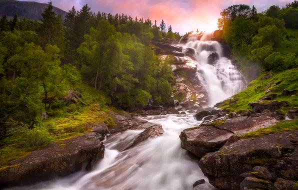 Trees, river, waterfall, Norway, Norway