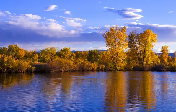 Autumn, forest, the sky, clouds, trees, mountains, lake, reflection