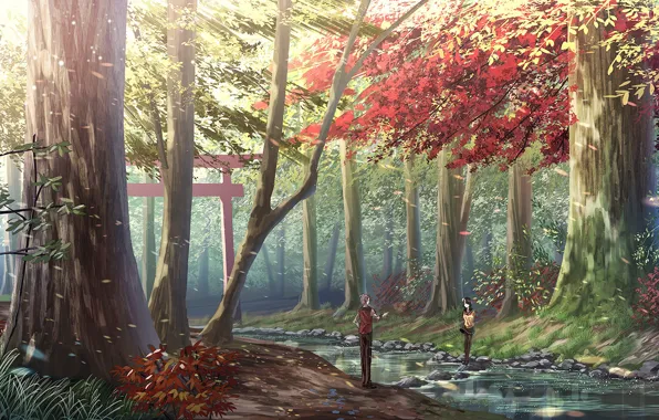 Picture stones, two, Sunny day, autumn forest, torii, forest stream, the guy with the girl