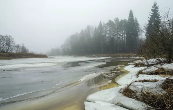 Picture landscape, nature, fog, river, spring