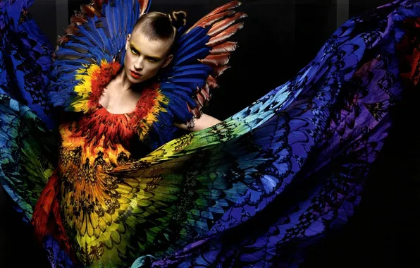 Picture glamour, feathers, makeup, dress, hairstyle, colorful