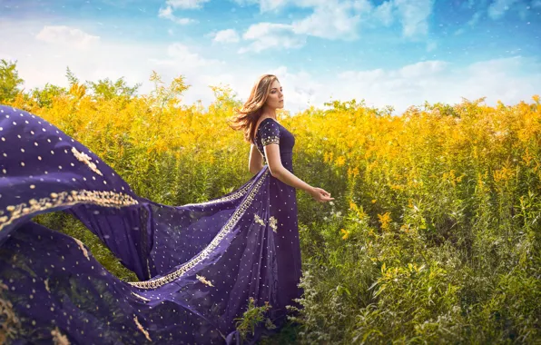 Picture field, summer, girl, the wind, dress