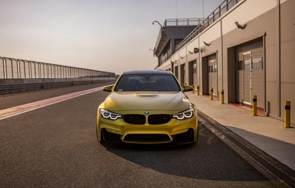 Picture Shadow, F80, M3, Front view