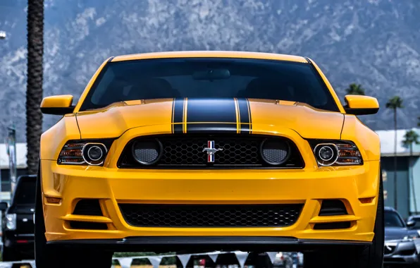 Mustang, Ford, Yellow, Boss 302, Yellow, The front