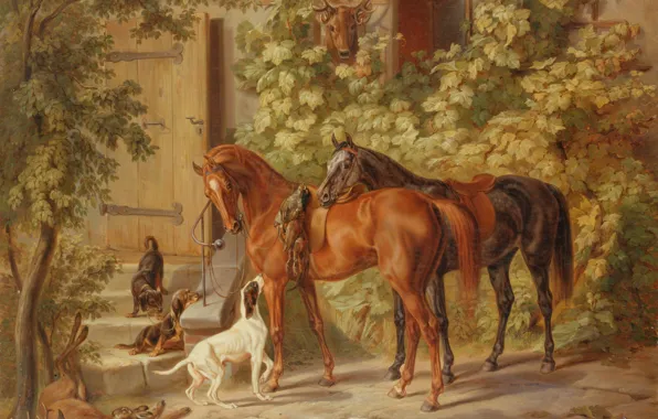 Dogs, picture, horse, dobycha, after the hunt