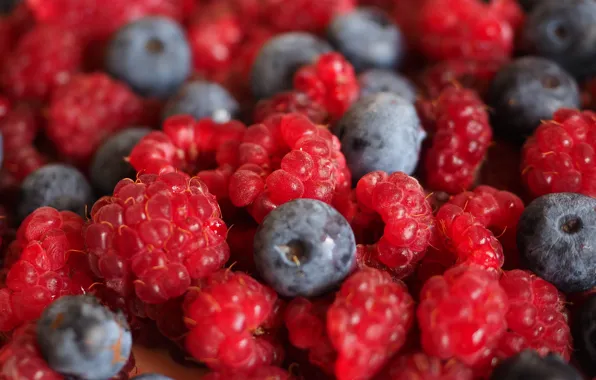 Picture macro, close-up, berries, raspberry, food, blur, blueberries, a lot